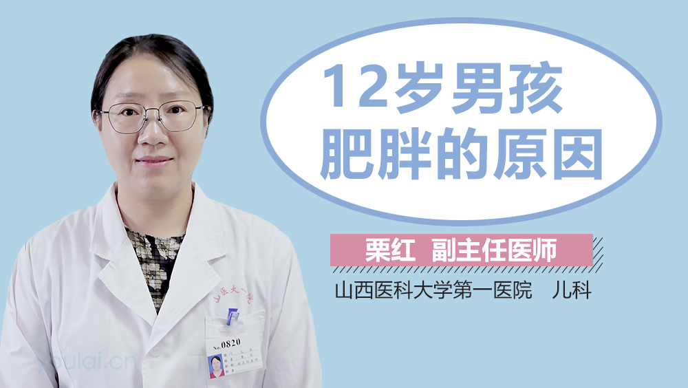 12岁男孩肥胖的原因