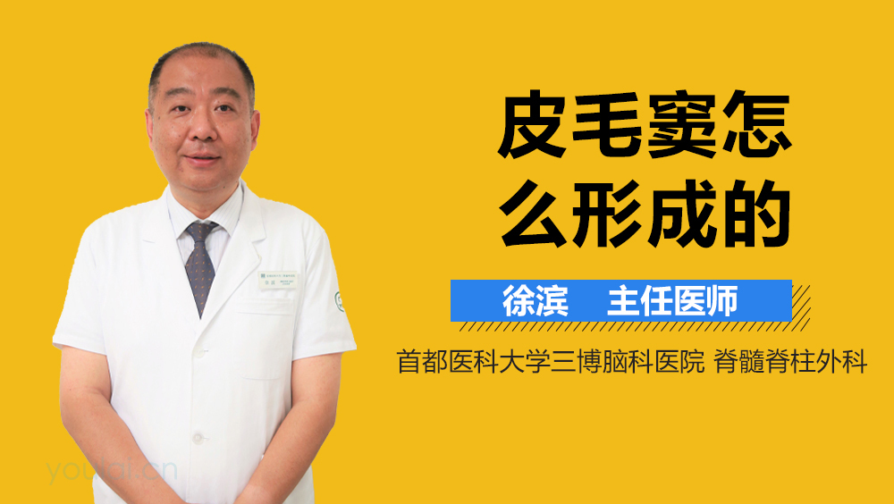 皮毛窦怎么形成的