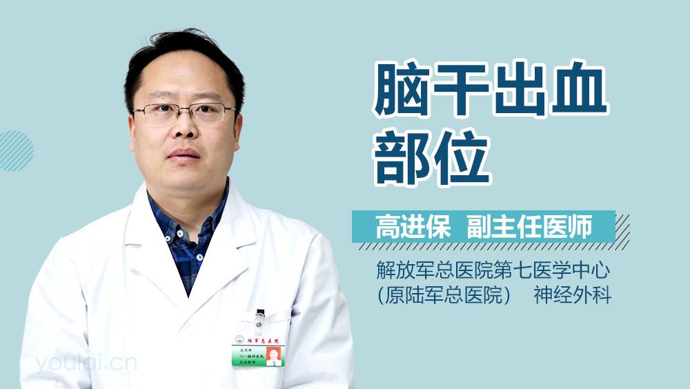 脑干出血部位