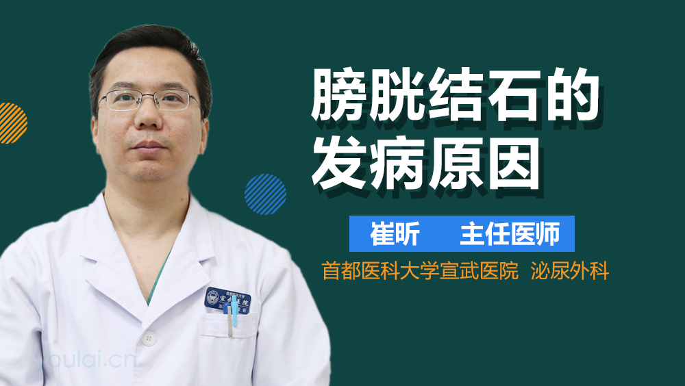 膀胱结石的发病原因
