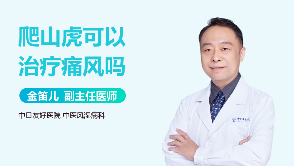 爬山虎可以治疗痛风吗