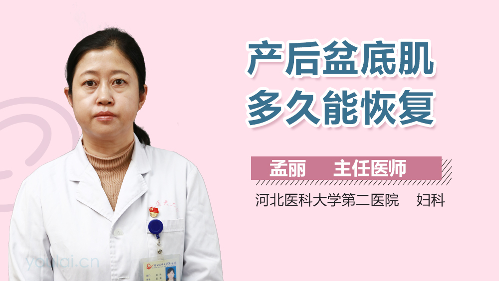 产后盆底肌多久能恢复