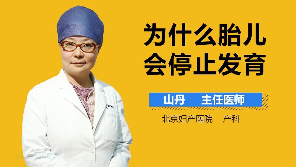 为什么胎儿会停止发育
