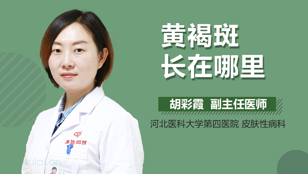 黄褐斑长在哪里