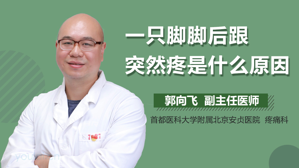 一只脚脚后跟突然疼是什么原因