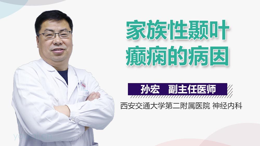 家族性颞叶癫痫的病因