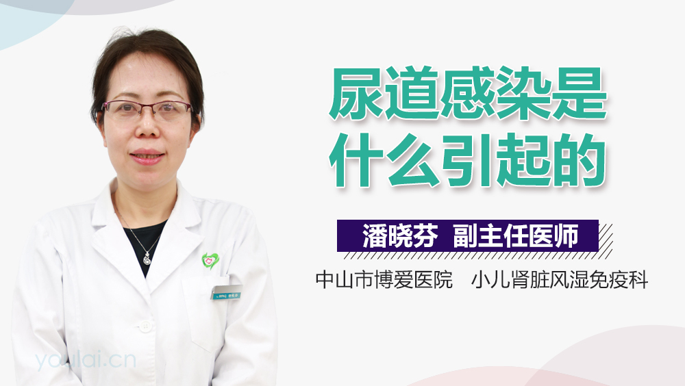 尿道感染是什么引起的