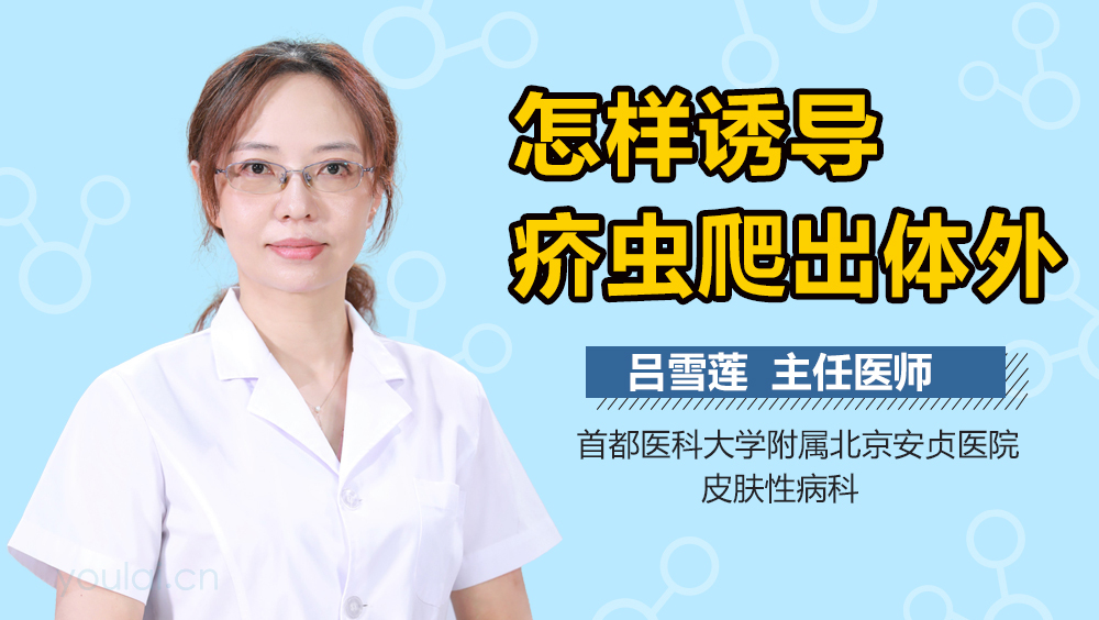 怎样诱导疥虫爬出体外