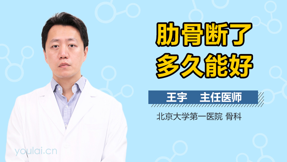 肋骨断了多久能好