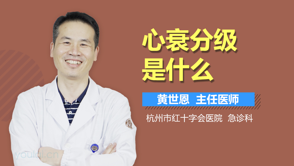 心衰分级是什么