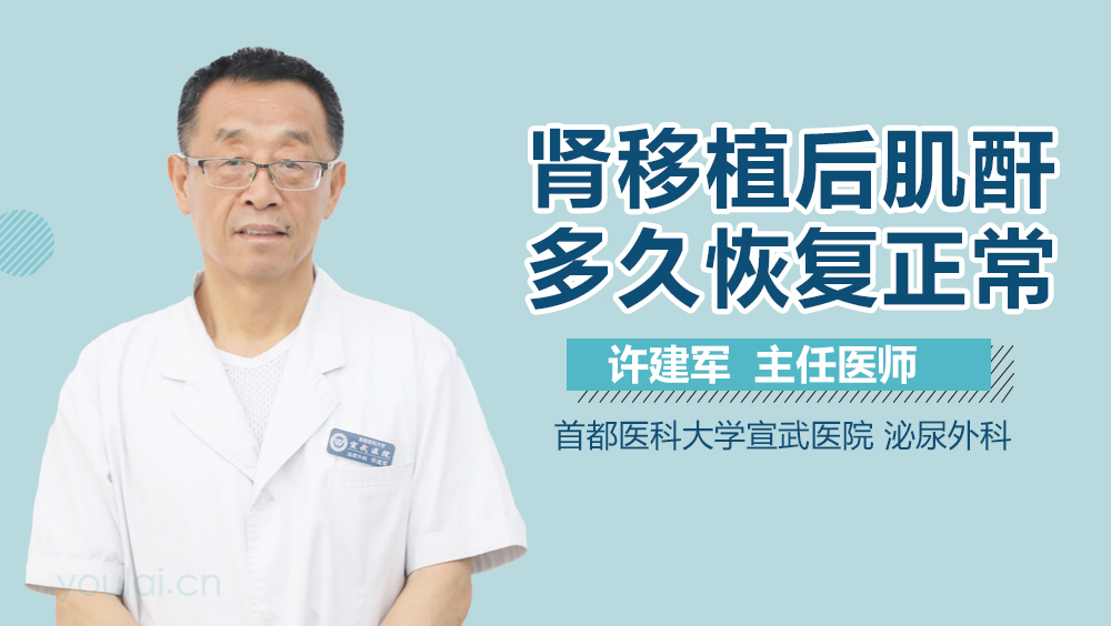 肾移植后肌酐多久恢复正常