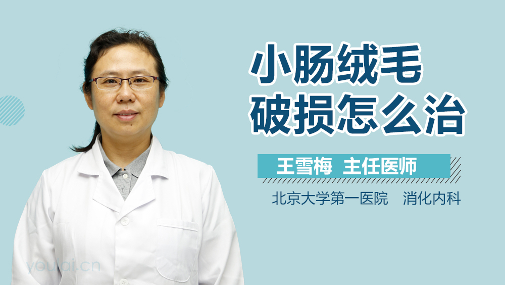 小肠绒毛破损怎么治