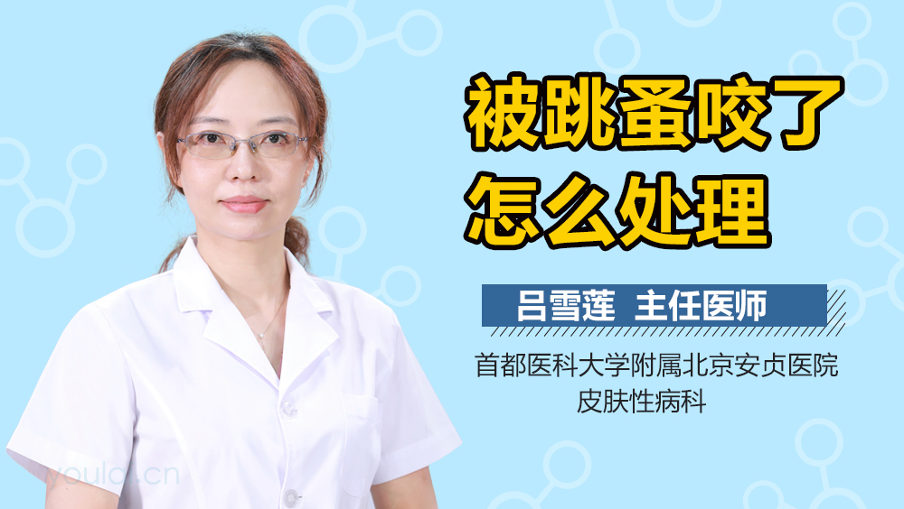 被跳蚤咬了怎么处理