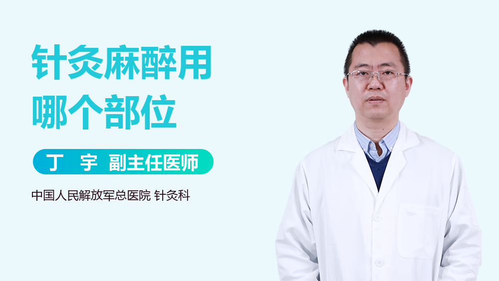 针灸麻醉用哪个部位