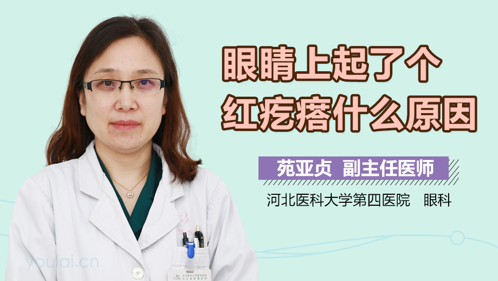 眼睛上起了个红疙瘩什么原因