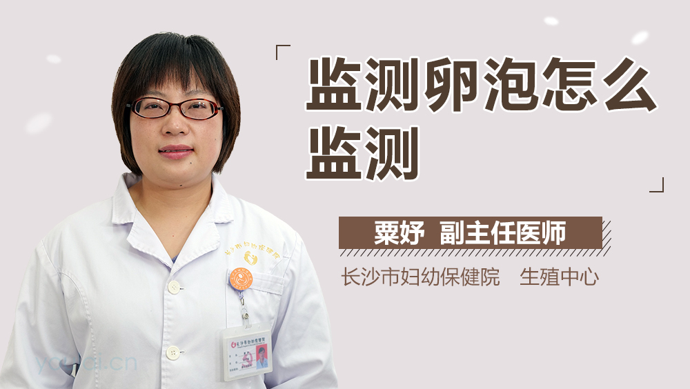 监测卵泡怎么监测