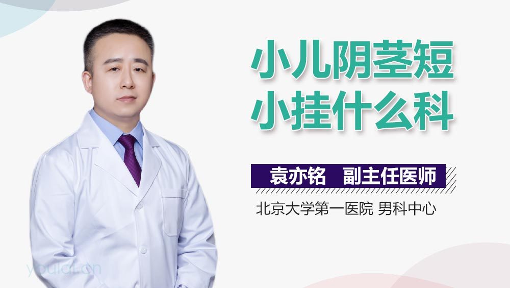 小儿阴茎短小挂什么科