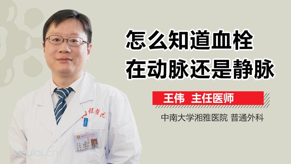 怎么知道血栓在动脉还是静脉