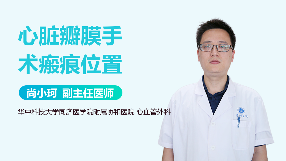 心脏瓣膜手术瘢痕位置