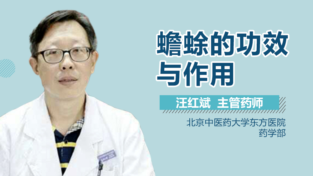 蟾蜍的功效与作用