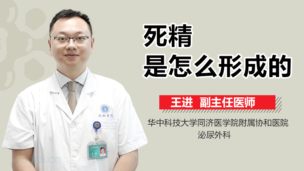 死精是怎么形成的
