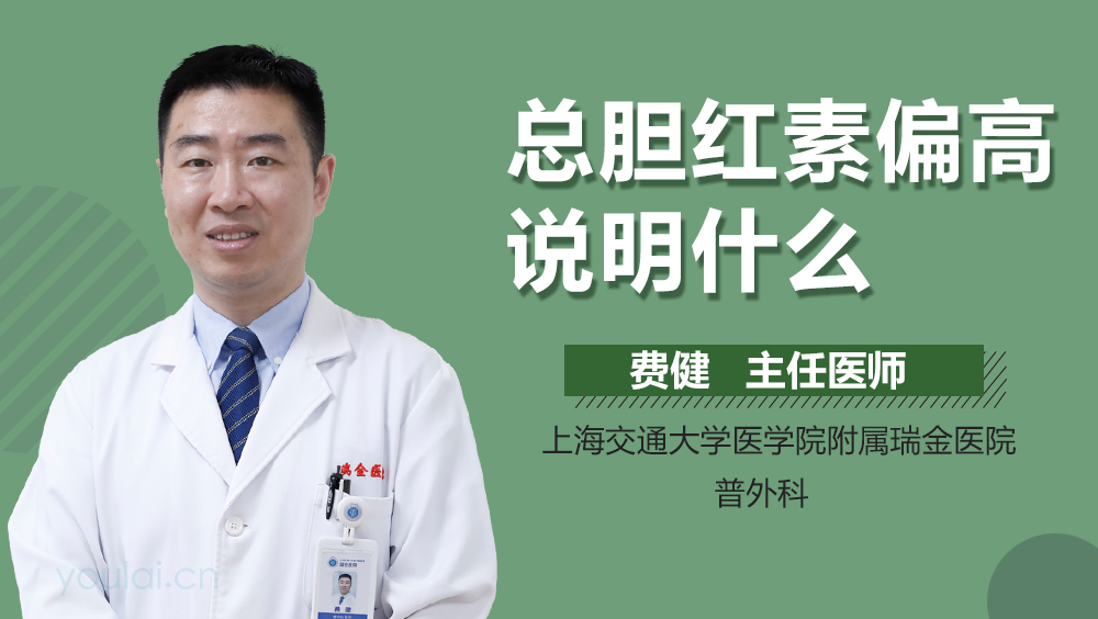 总胆红素偏高说明什么