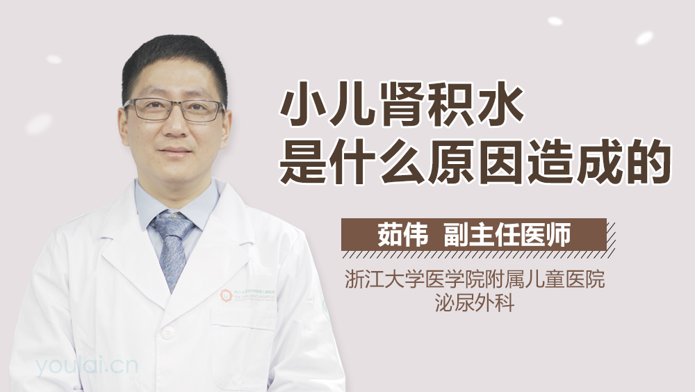 小儿肾积水是什么原因造成的