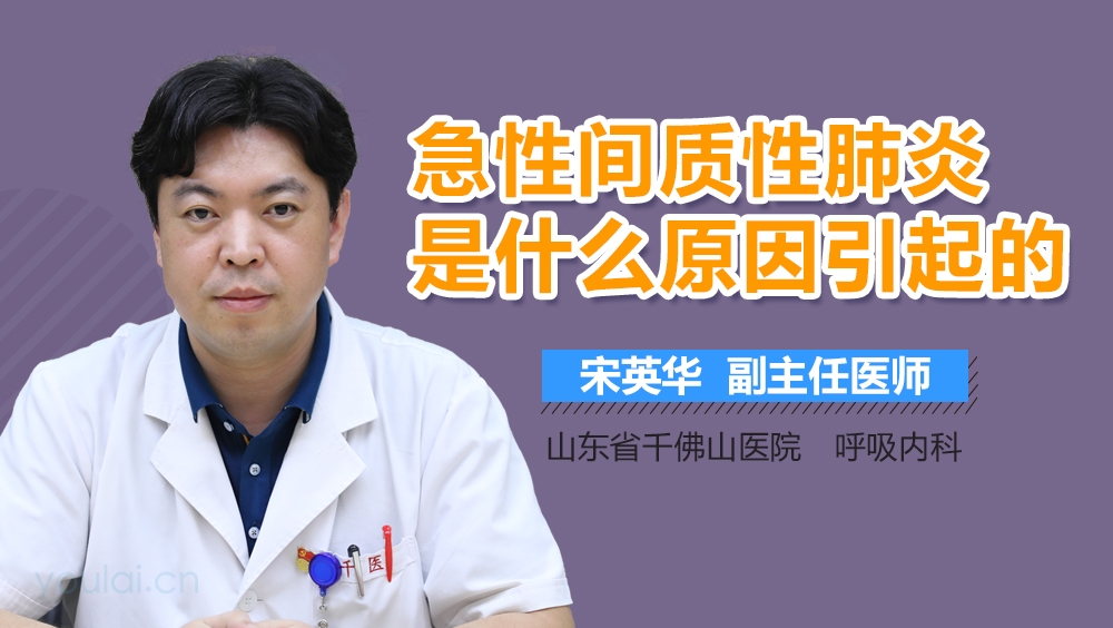 急性间质性肺炎是什么原因引起的