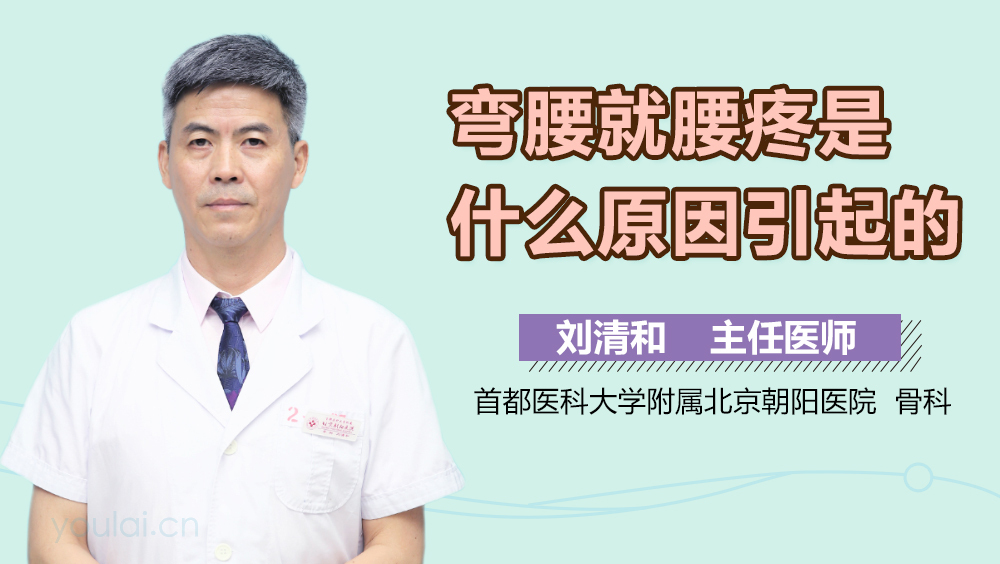 弯腰就腰疼是什么原因引起的