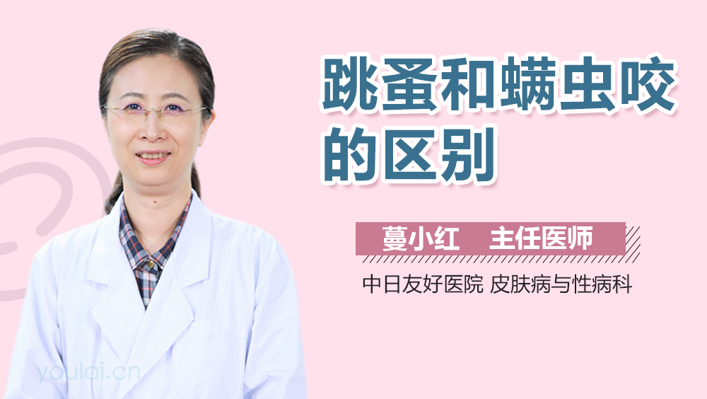 跳蚤和螨虫咬的区别