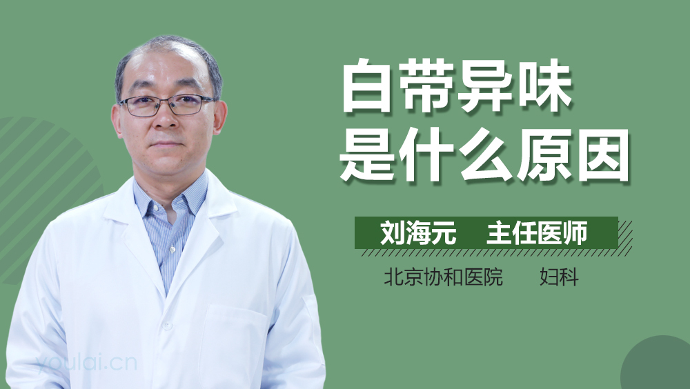 白带异味是什么原因