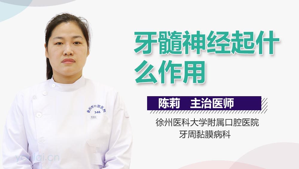 牙髓神经起什么作用
