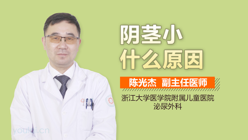 阴茎小什么原因