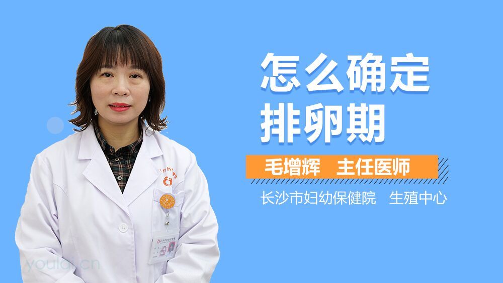 怎么确定排卵期