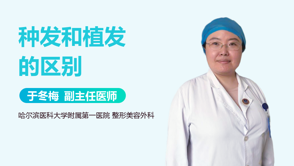 种发和植发的区别