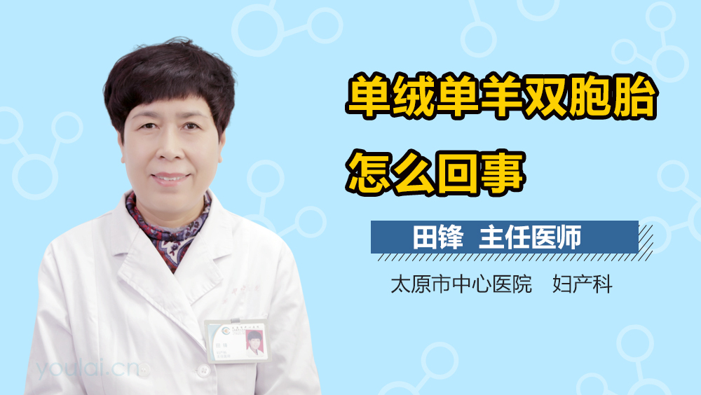 单绒单羊双胞胎怎么回事