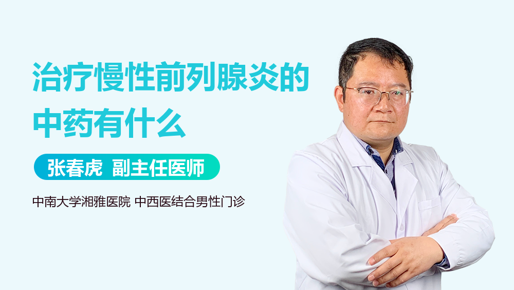 治疗慢性前列腺炎的中药有什么