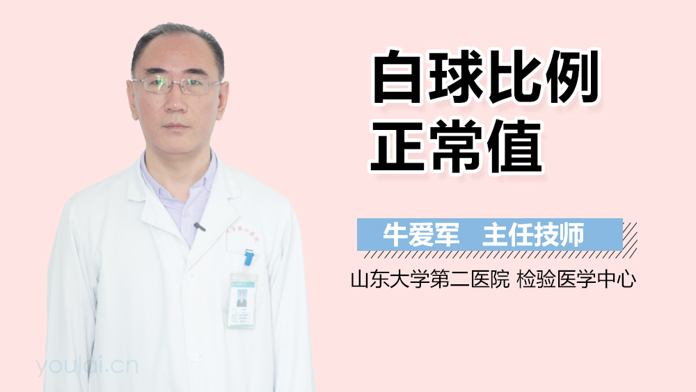 白球比例正常值