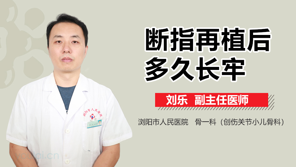 断指再植后多久长牢