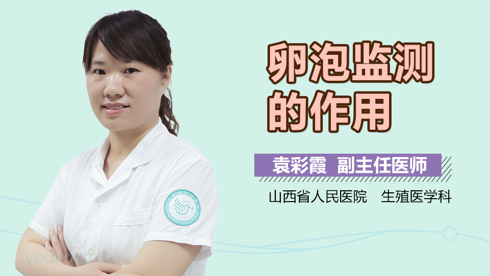 卵泡监测的作用
