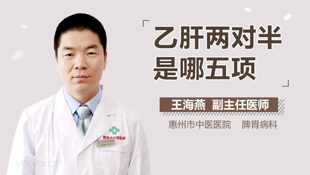 乙肝两对半是哪五项