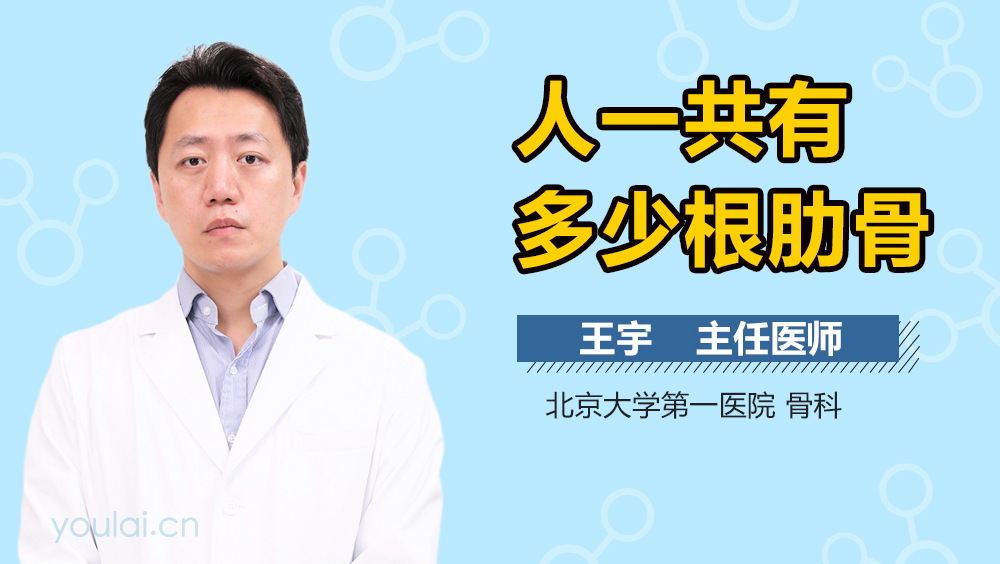 人一共有多少根肋骨