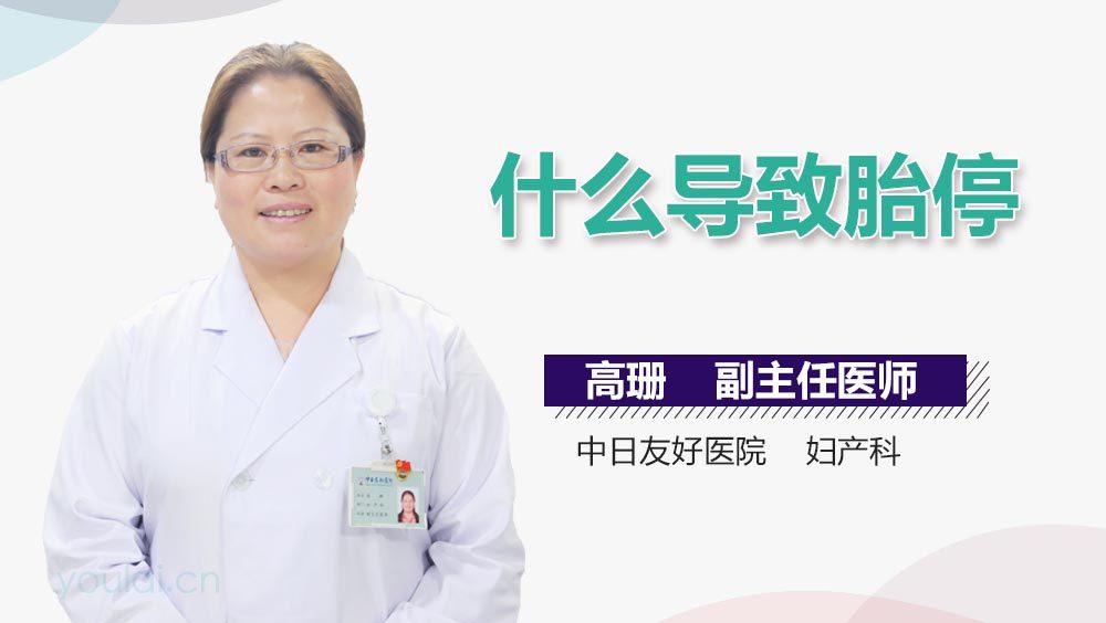 什么导致胎停