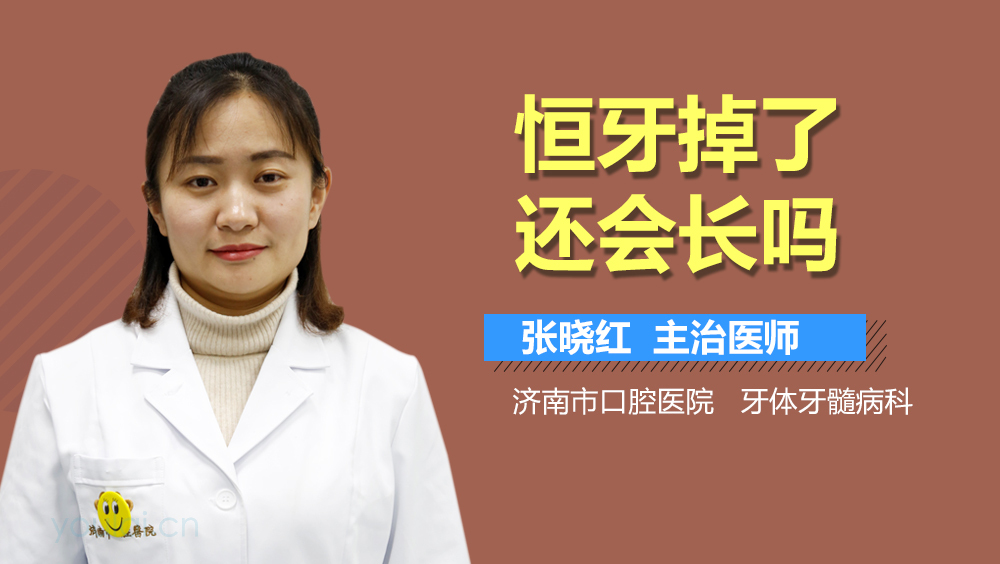 恒牙掉了还会长吗