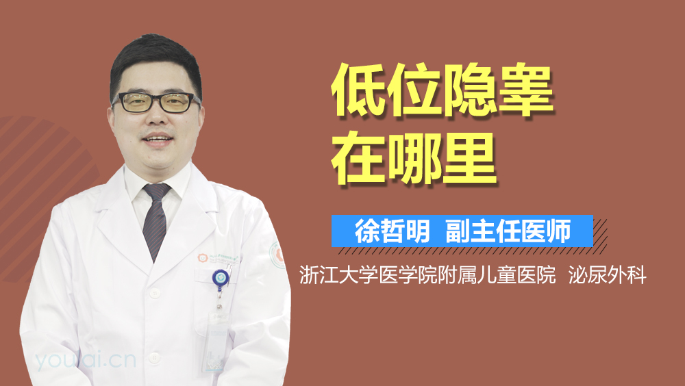 低位隐睾在哪里