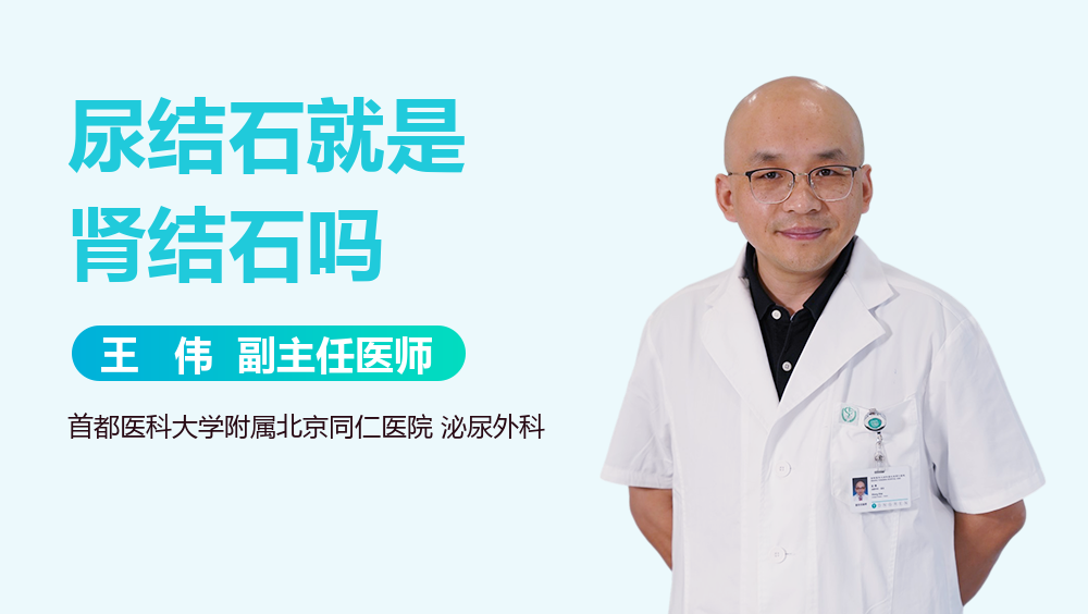 尿结石就是肾结石吗