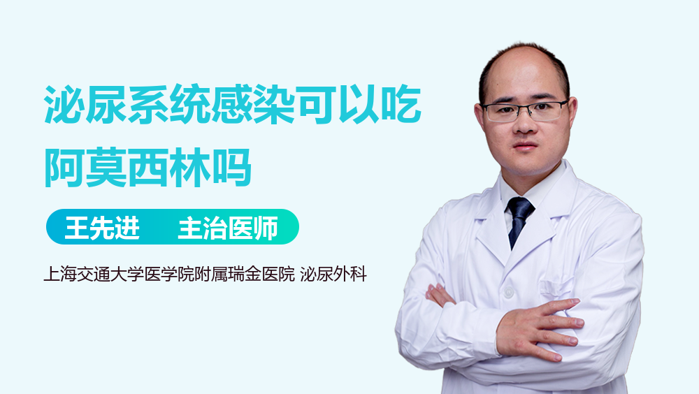 泌尿系统感染可以吃阿莫西林吗