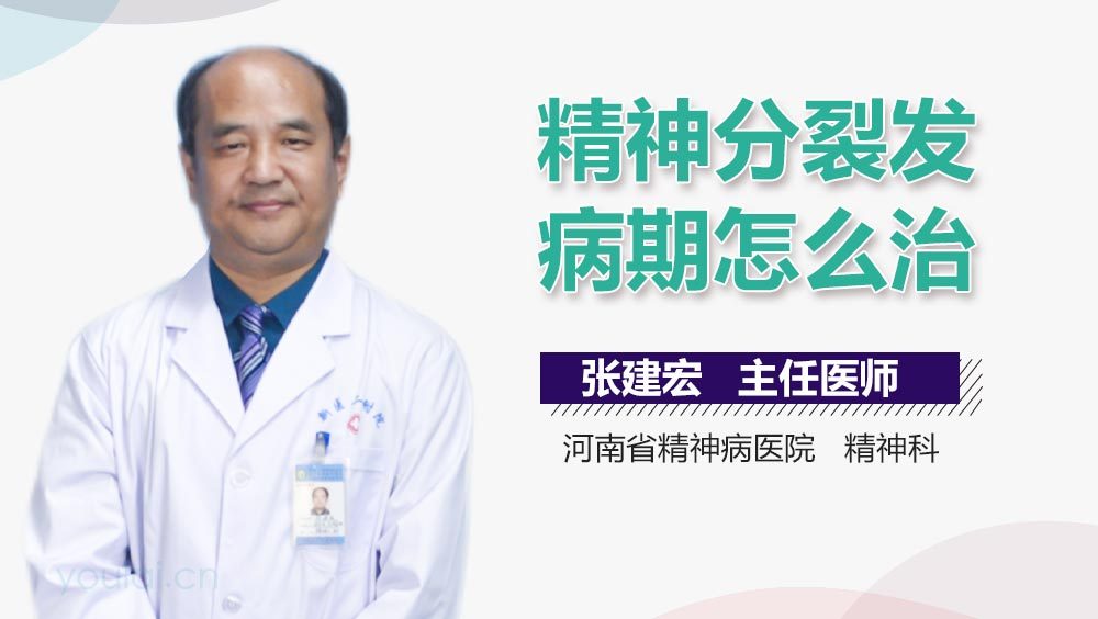 精神分裂发病期怎么治
