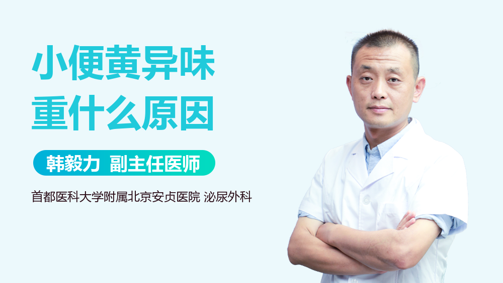 小便黄异味重什么原因