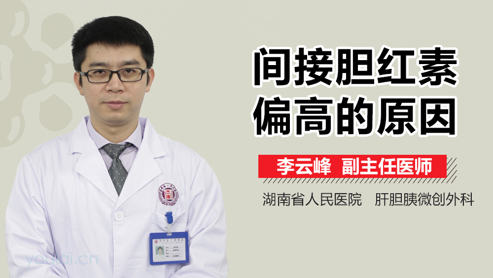 间接胆红素偏高的原因